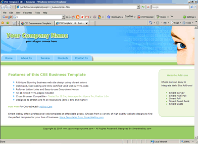 CSS Template 111 [Business] - 1024px screen width view