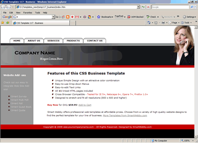 CSS Template 117 [Business] - 1024px screen width view
