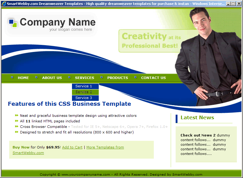 Dreamweaver CSS Template 130 [Business] - Actual Size Screenshot for 800px screen width