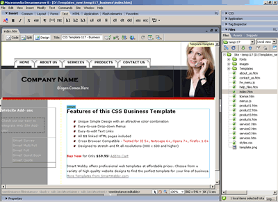 CSS Template 117 [Business] - Adobe Dreamweaver View