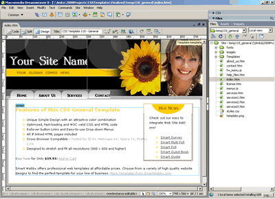 Template 118 [Personal/General] - Adobe Dreamweaver View