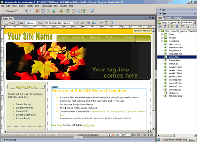 Template 126 [General] - Adobe Dreamweaver View