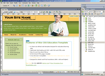 Template 141 [Education/Learning] - Adobe Dreamweaver View
