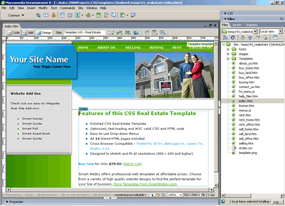 Template 143 [Real Estate] - Adobe Dreamweaver View
