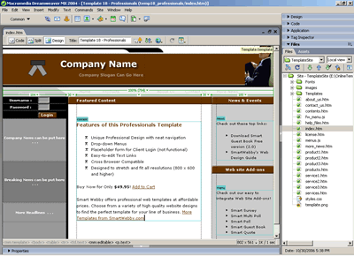 Template 18 [Professionals] - Adobe Dreamweaver View