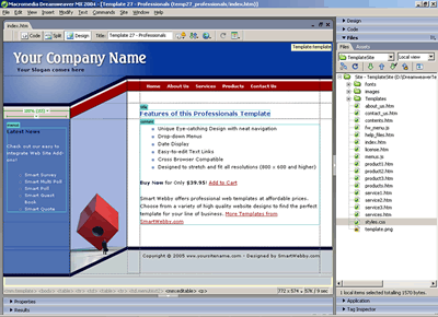 Template 27 [Professionals] - Adobe Dreamweaver View