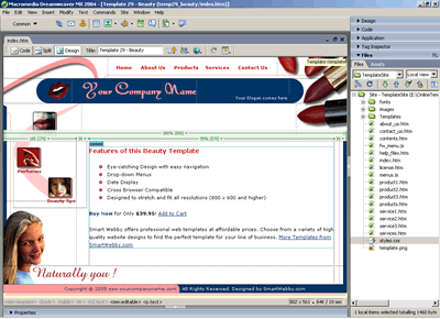 Template 29 [Beauty] - Adobe Dreamweaver View