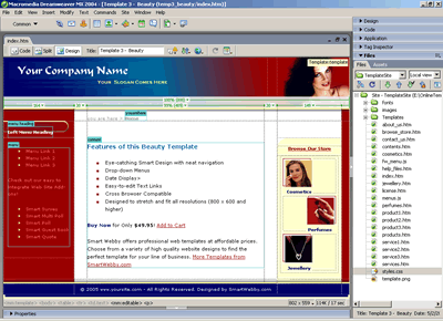 Template 3 [Beauty] - Adobe Dreamweaver View