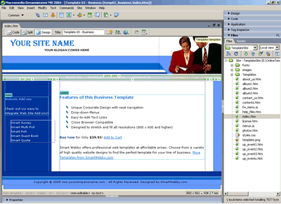 Template 65 [Business] - Adobe Dreamweaver View