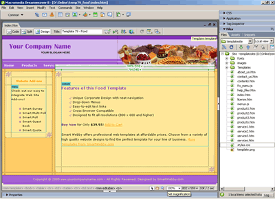 Template 79 [Food] - Adobe Dreamweaver View