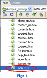 Template Files Panel