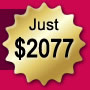 Flash Website Deluxe Package - Just $2077