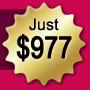 Business Website Deluxe Package - Just $977
