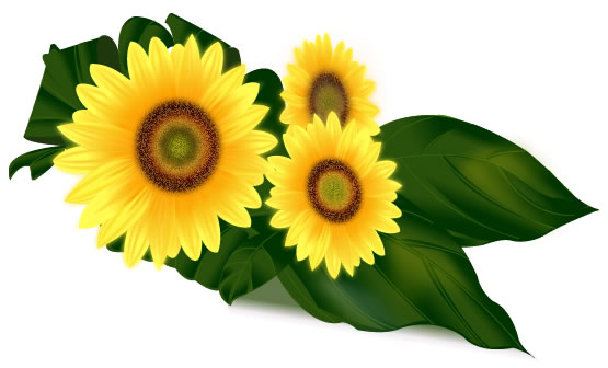 sunflower bokay