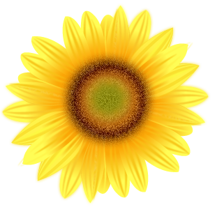 Sunflower bokay