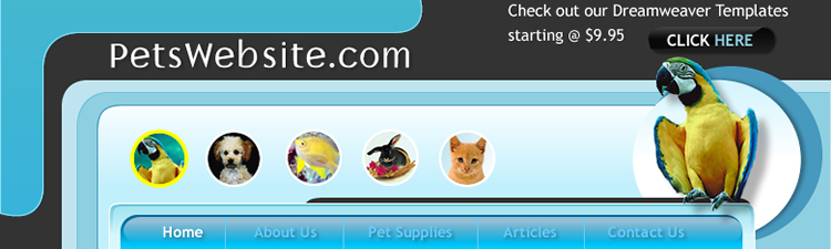 Glass Effect Navigation