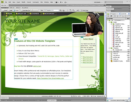 Template 1111 [Education/Business] - Adobe Dreamweaver View