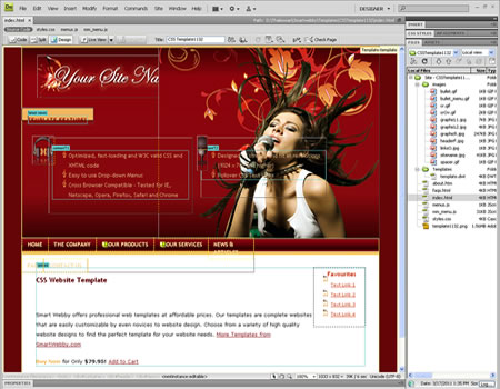 Template 1132 [Personal/Business] - Adobe Dreamweaver View